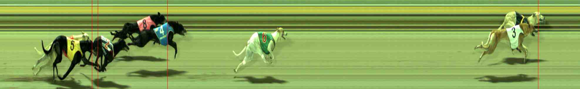 Photo finish for Sale Race 12