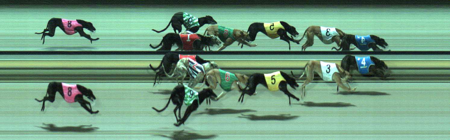 Photo finish for Sale Race 11