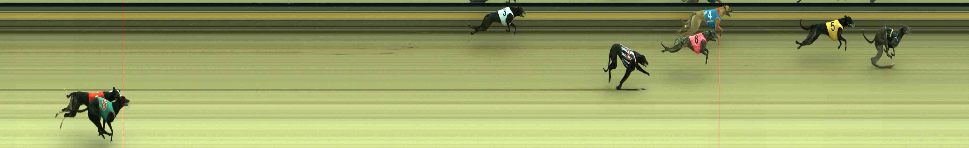 Photo finish for Sale Race 1