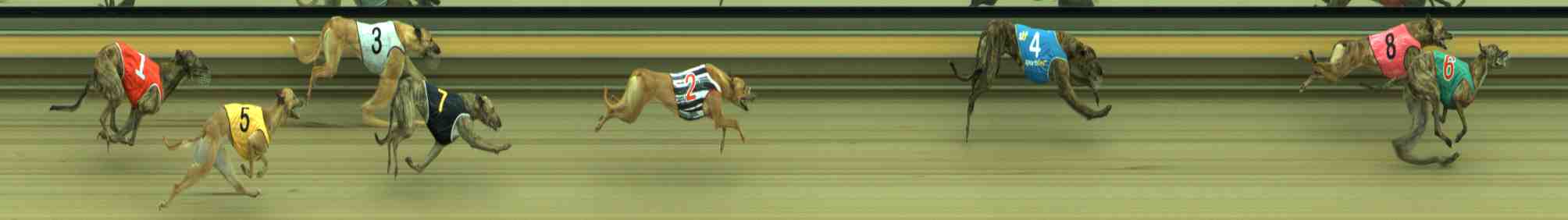 Photo finish for Sale Race 2
