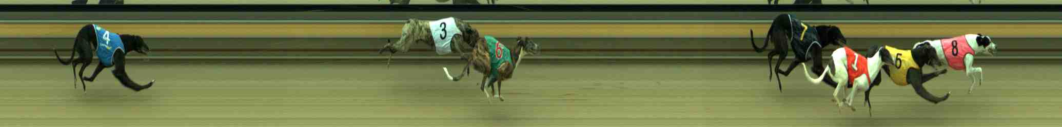Photo finish for Sale Race 3