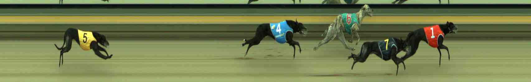 Photo finish for Sale Race 4