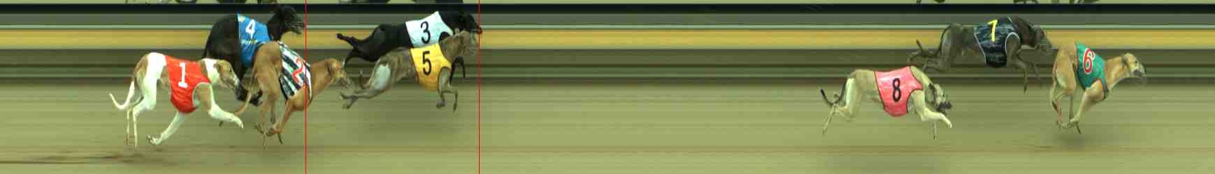Photo finish for Sale Race 5