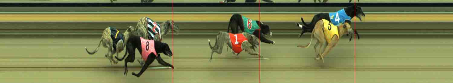 Photo finish for Sale Race 6