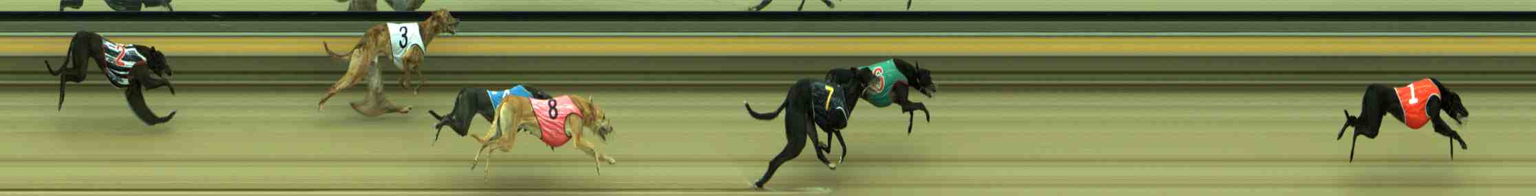 Photo finish for Sale Race 7