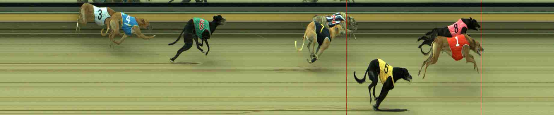 Photo finish for Sale Race 9