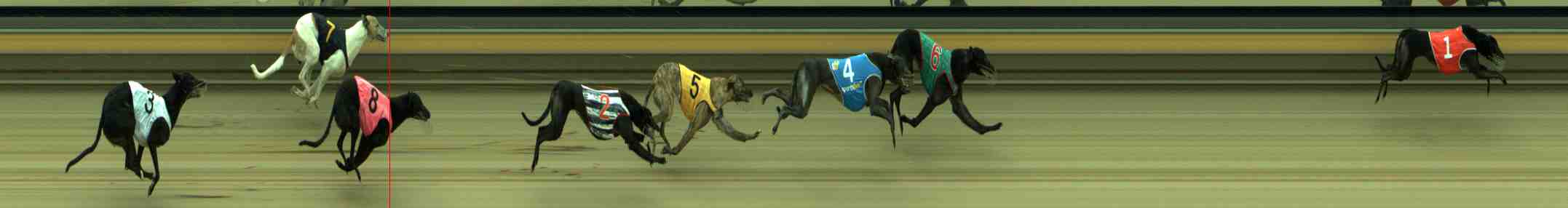 Photo finish for Sale Race 10