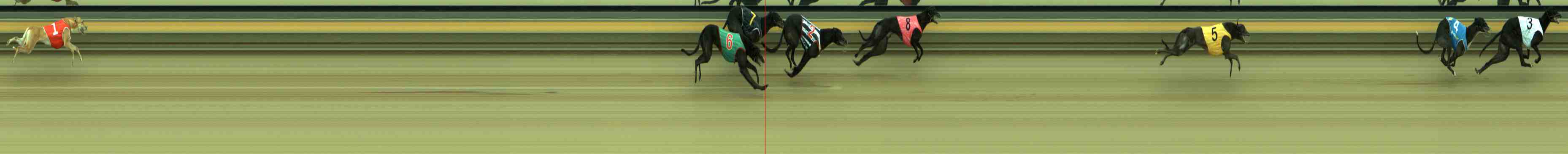 Photo finish for Sale Race 11