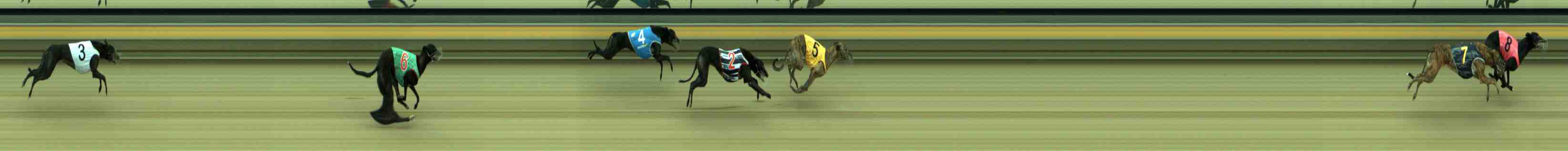 Photo finish for Sale Race 12