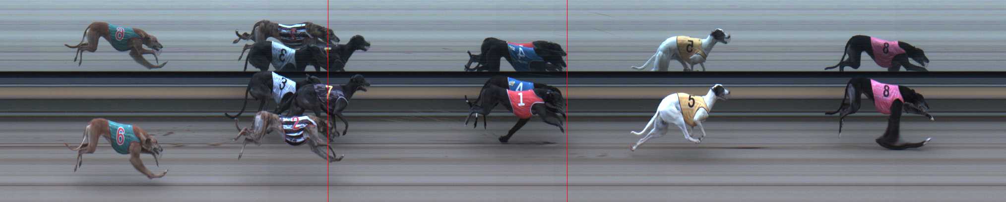 Photo finish for Sale Race 8