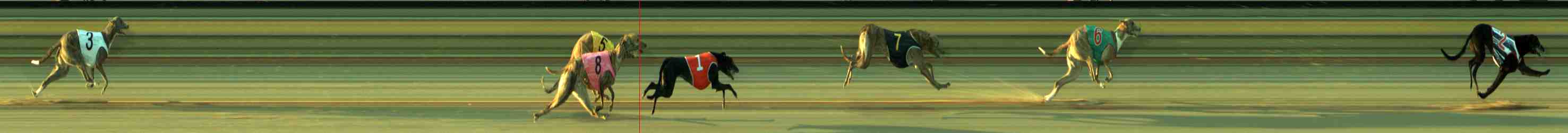 Photo finish for Sale Race 1