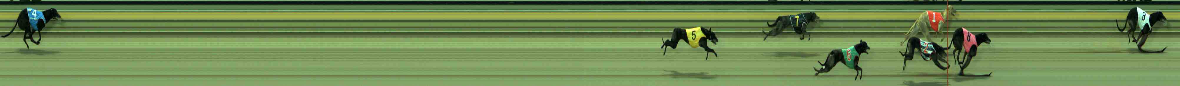 Photo finish for Sale Race 2