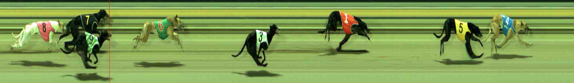 Photo finish for Sale Race 3