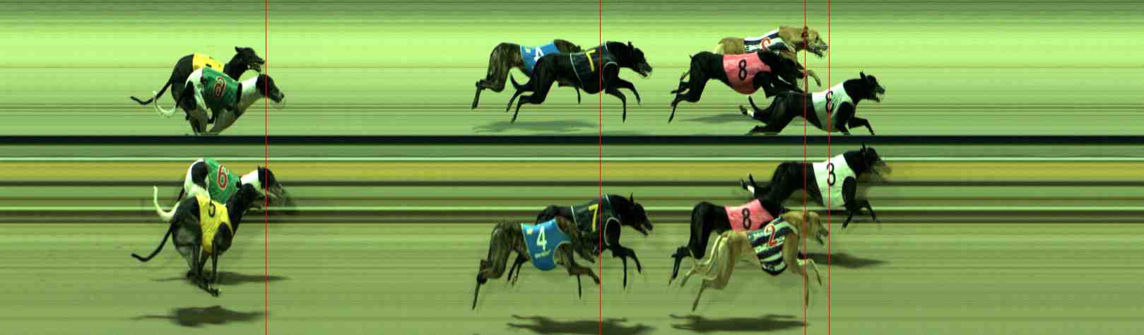 Photo finish for Sale Race 4