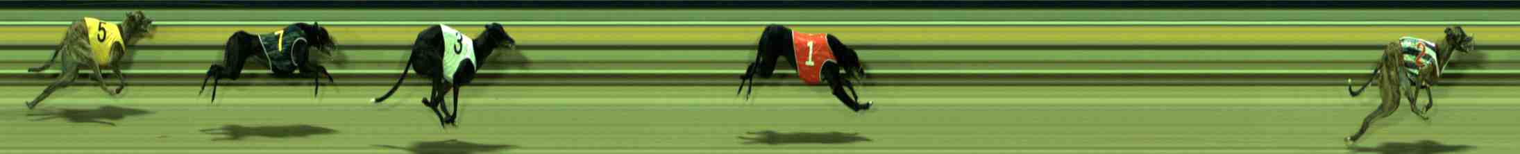 Photo finish for Sale Race 5