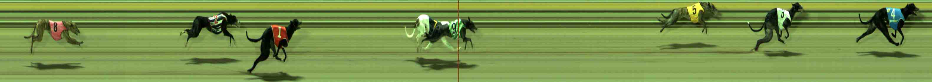Photo finish for Sale Race 6