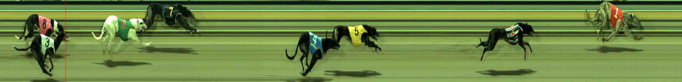 Photo finish for Sale Race 7