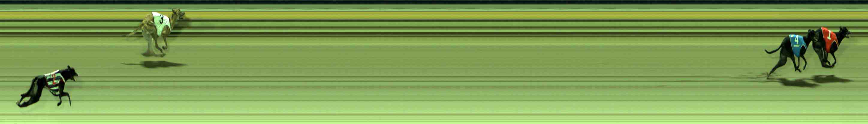 Photo finish for Sale Race 8
