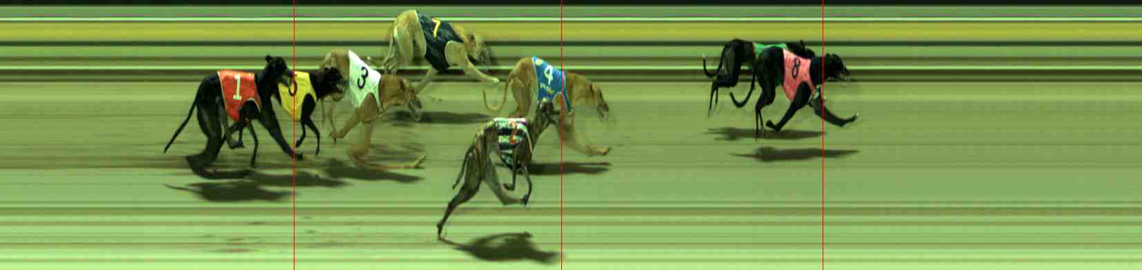 Photo finish for Sale Race 9