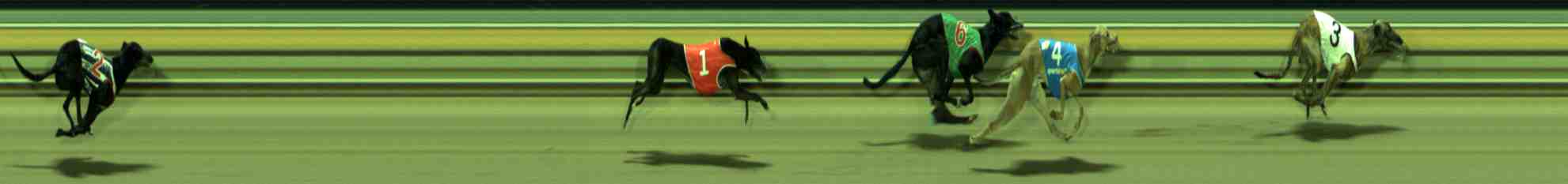 Photo finish for Sale Race 10