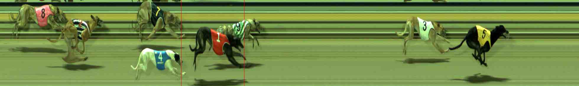 Photo finish for Sale Race 11
