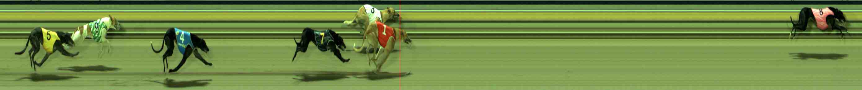 Photo finish for Sale Race 12