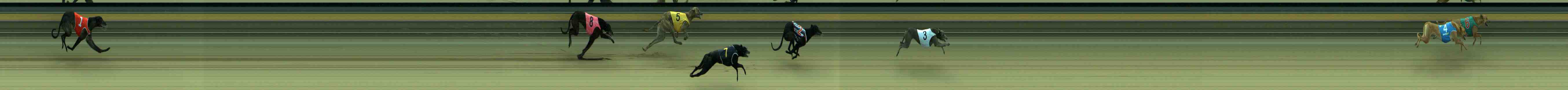 Photo finish for Sale Race 1