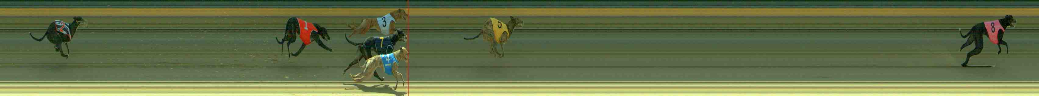 Photo finish for Sale Race 2