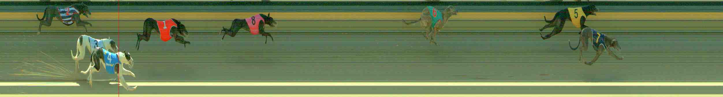 Photo finish for Sale Race 3