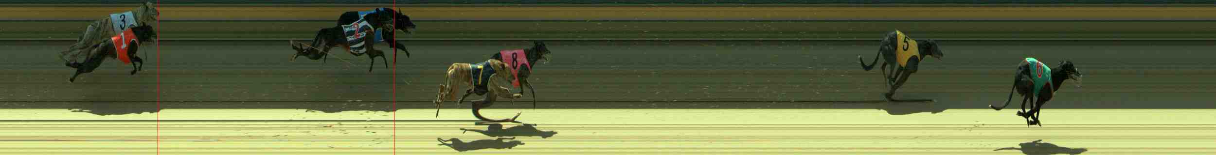 Photo finish for Sale Race 4