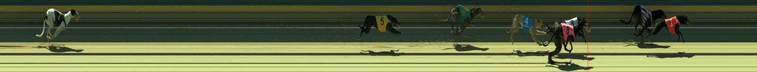Photo finish for Sale Race 5