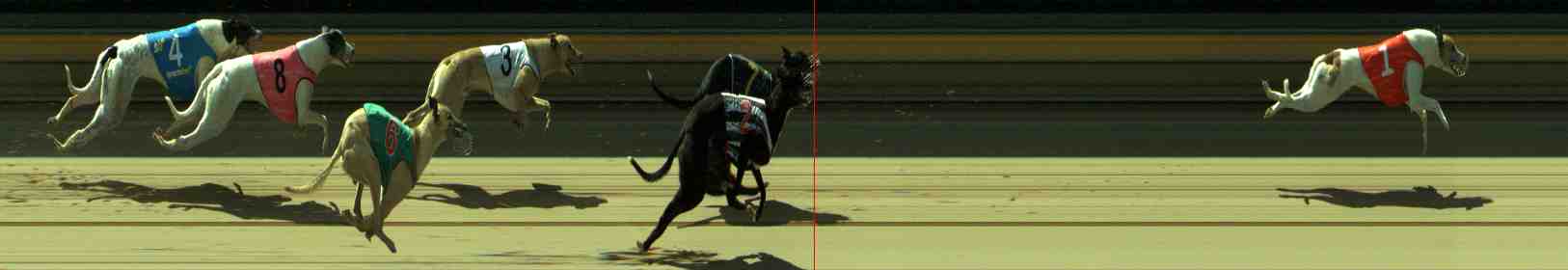 Photo finish for Sale Race 6