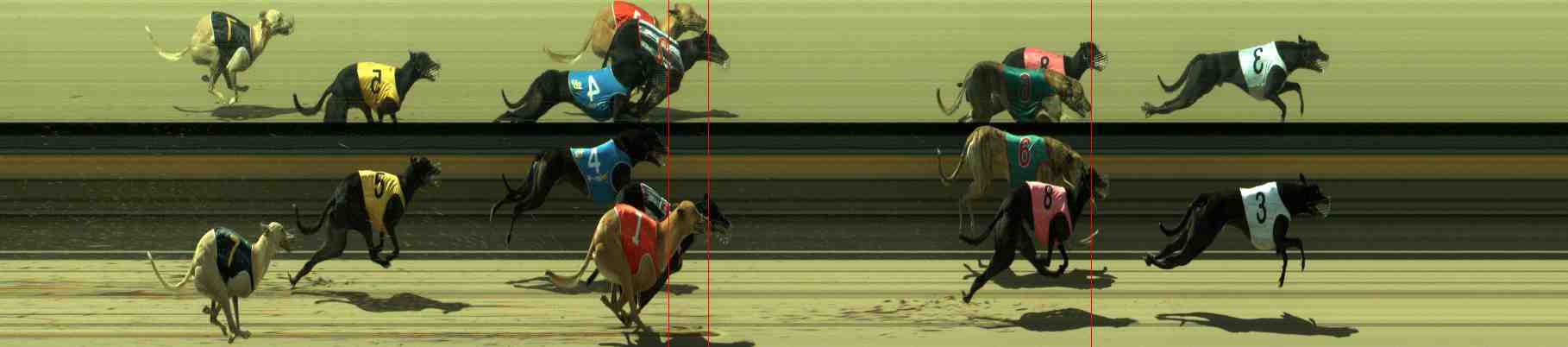 Photo finish for Sale Race 7