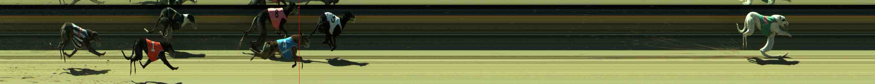 Photo finish for Sale Race 8