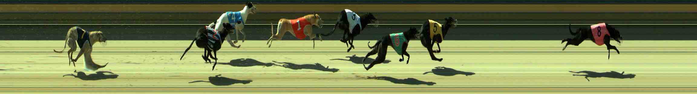 Photo finish for Sale Race 9