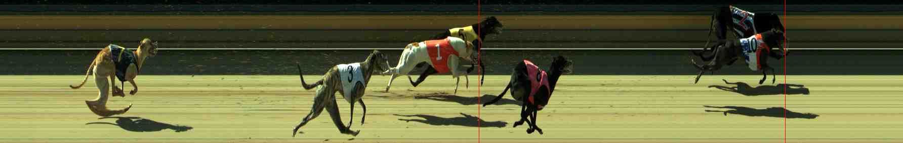 Photo finish for Sale Race 10