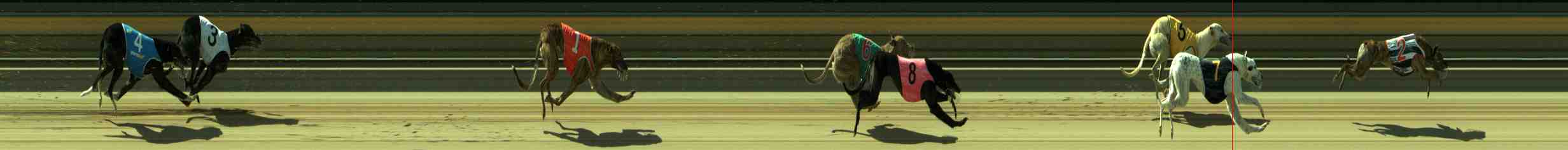 Photo finish for Sale Race 11