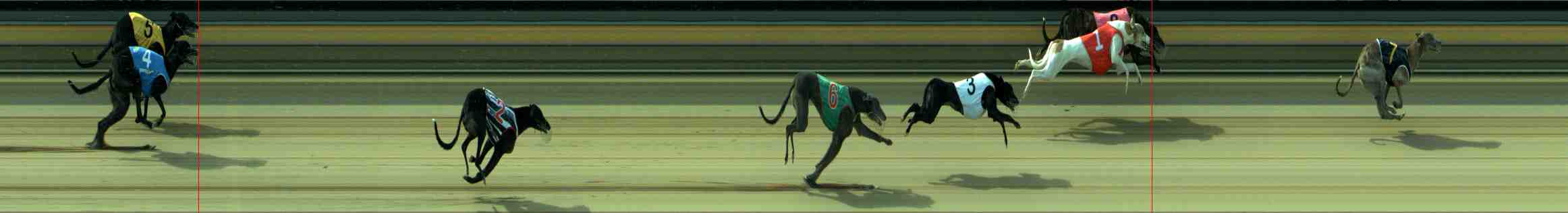Photo finish for Sale Race 12