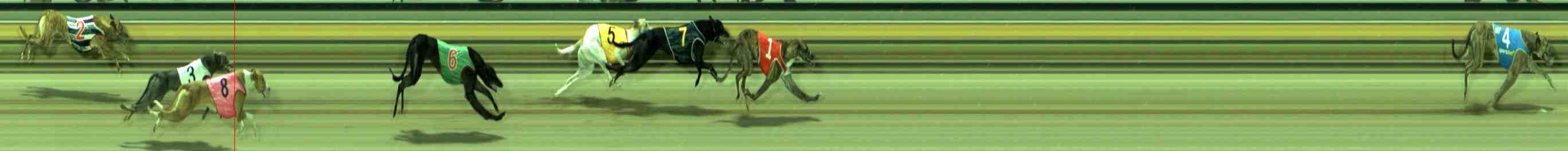 Photo finish for Sale Race 1