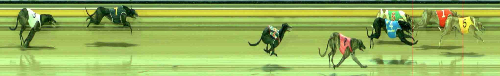 Photo finish for Sale Race 2