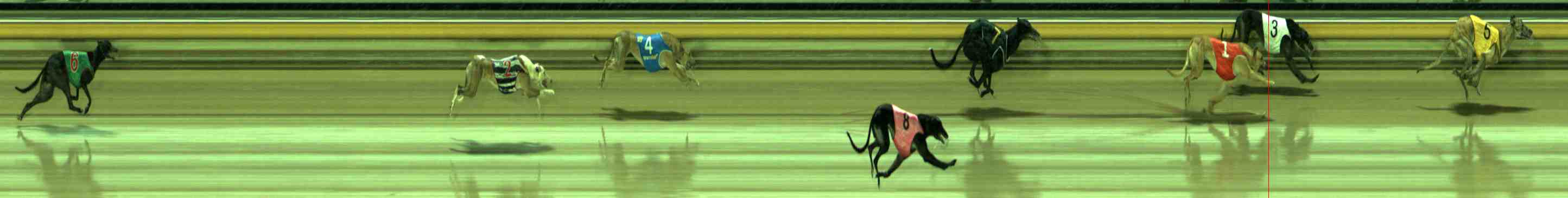 Photo finish for Sale Race 4