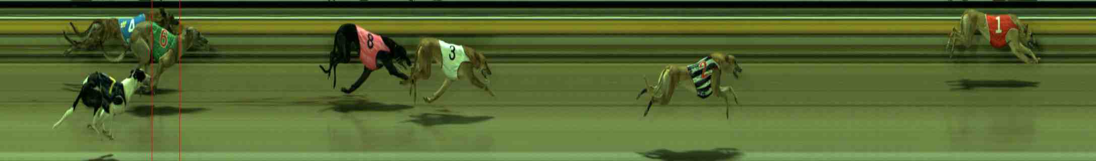 Photo finish for Sale Race 5