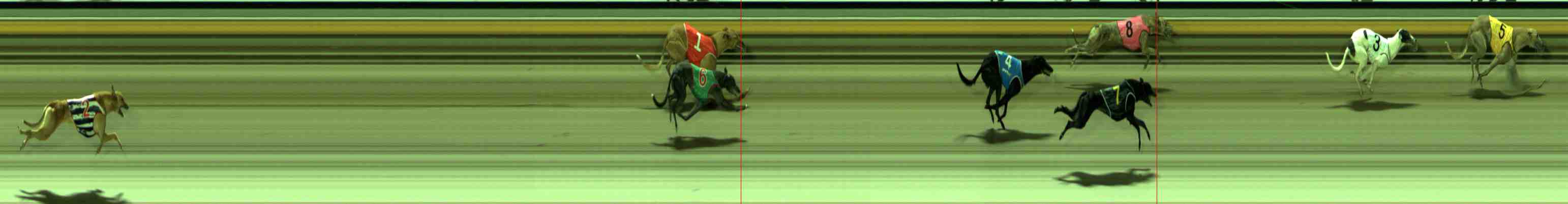 Photo finish for Sale Race 6