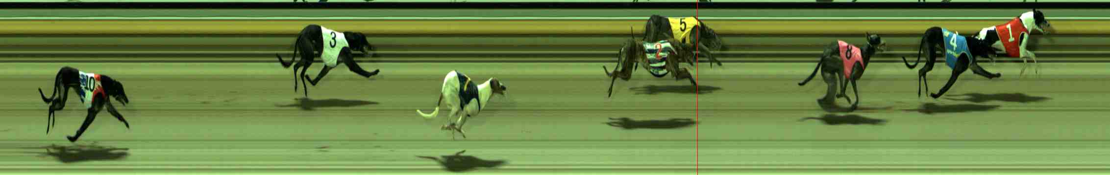 Photo finish for Sale Race 7