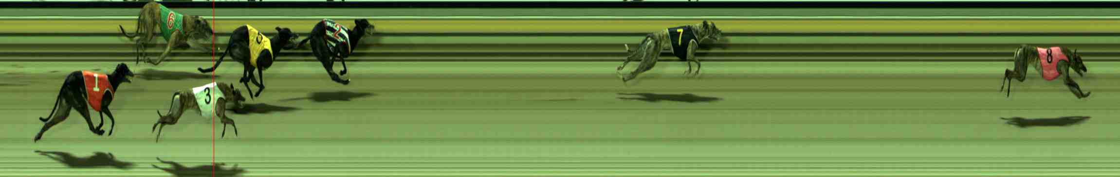 Photo finish for Sale Race 8