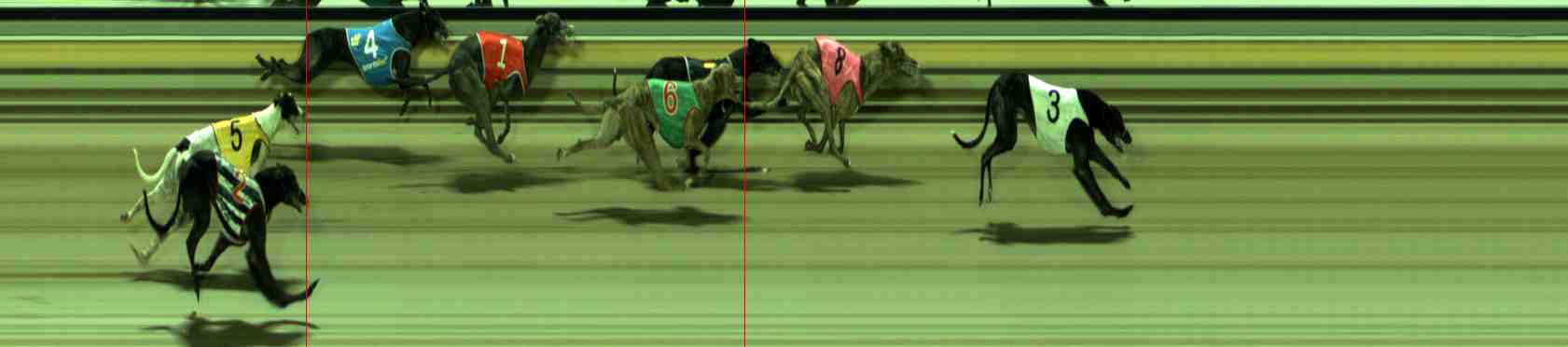 Photo finish for Sale Race 9