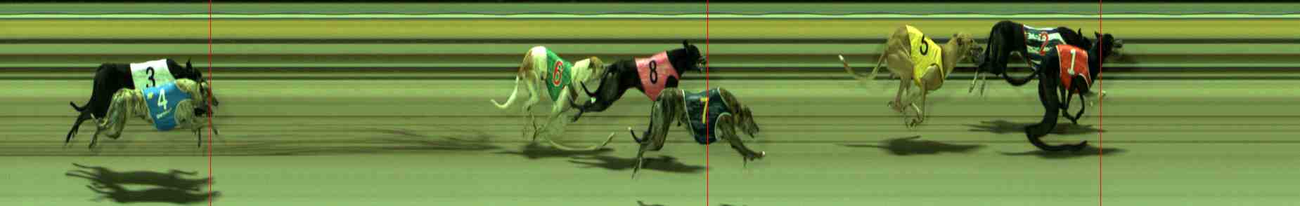 Photo finish for Sale Race 10