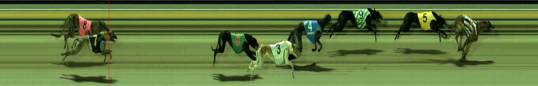 Photo finish for Sale Race 11