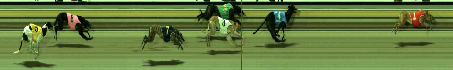 Photo finish for Sale Race 12