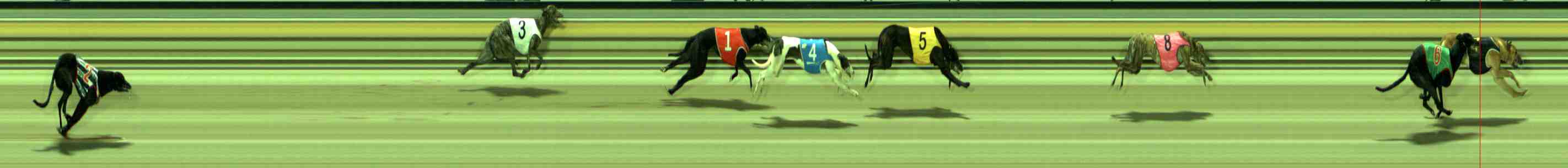 Photo finish for Sale Race 1